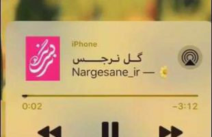 کلیپ وضعیت واتساپ گل نرجس ویژه تبریک نیمه شعبان ۱۴۰۴